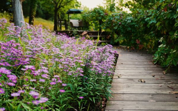 Wooden garden paths that add warmth, rhythm and easy access to any yard