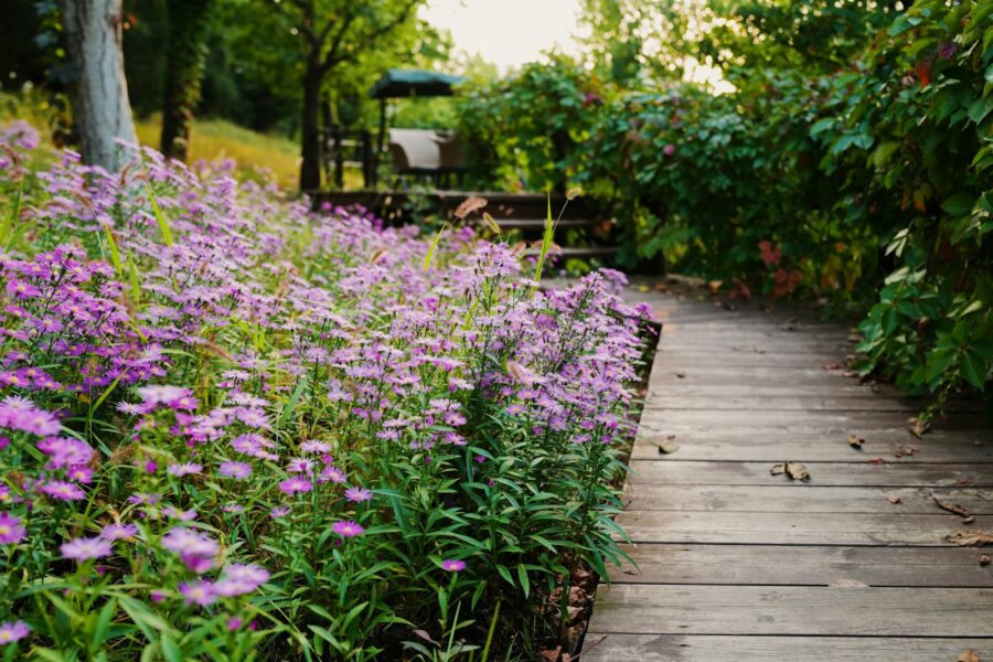 Wooden garden path