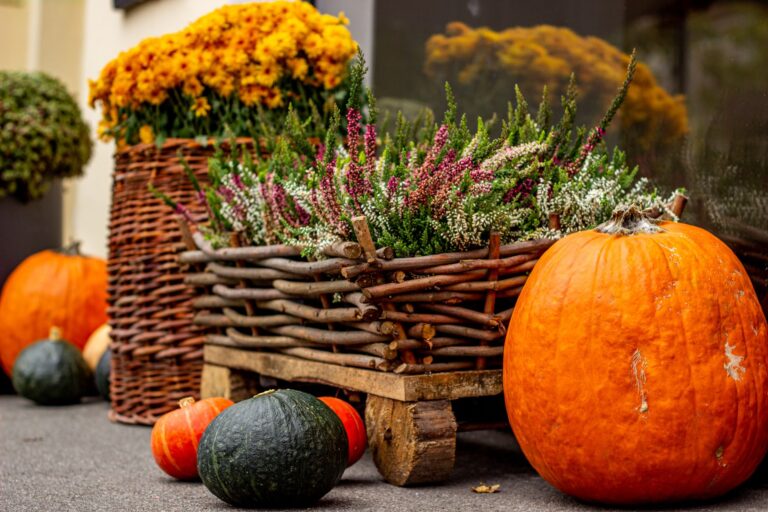 Balcony autumn flowers