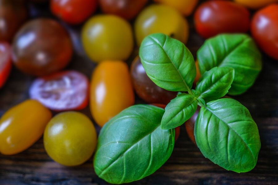 Balcony containers tomatoes