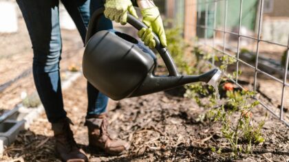 Beginner-friendly mulching tips that help beds hold moisture and cut down on work