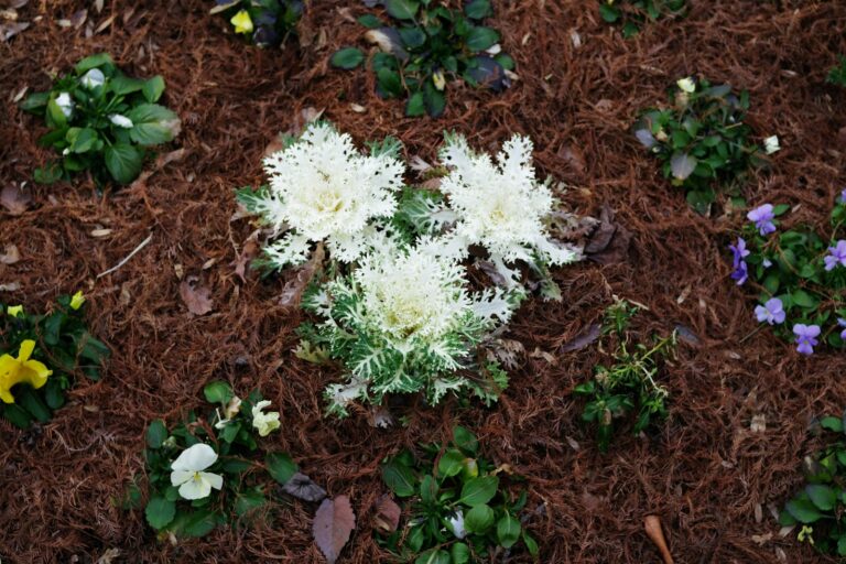 Flower border bark
