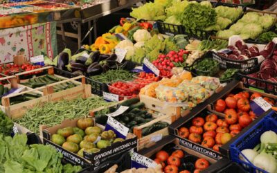 Beginner-friendly vegetables that are easy, reliable and rewarding to grow