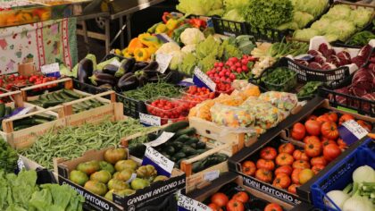 Beginner-friendly vegetables that are easy, reliable and rewarding to grow