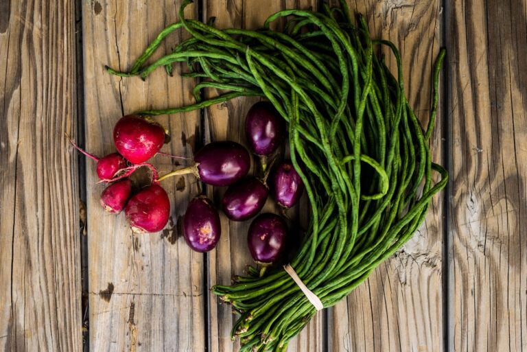 Beginner vegetable bed