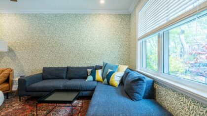 Best indoor plants for living rooms and how to keep them thriving