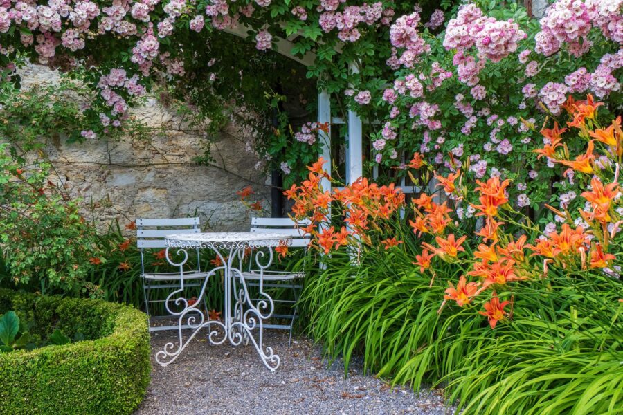Small backyard garden