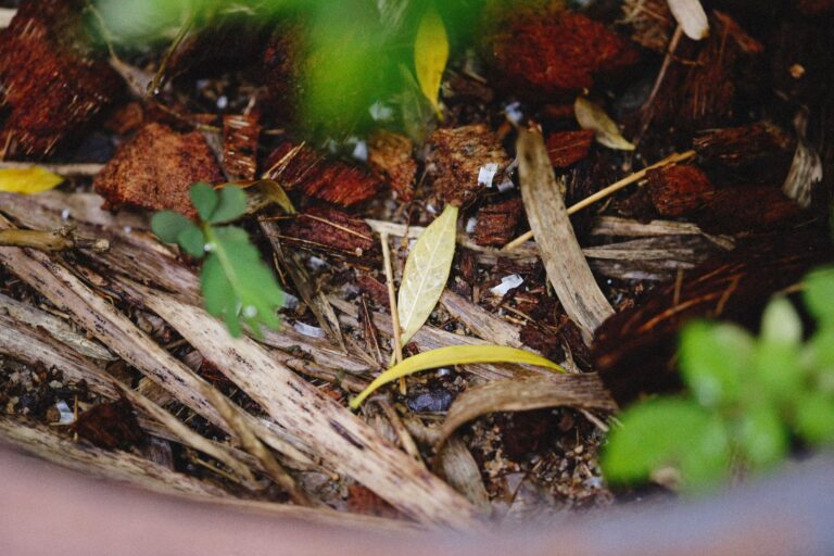 Compost heap garden