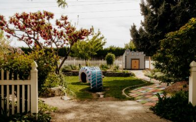 Child-friendly garden ideas that invite kids to explore and play