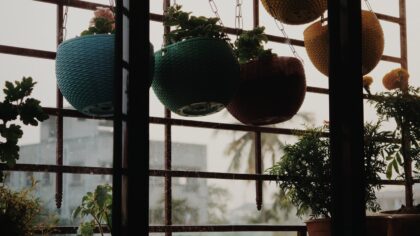 Clever container combinations that keep balconies and patios colourful for months