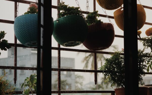 Clever container combinations that keep balconies and patios colourful for months