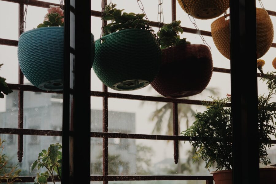 Balcony container garden