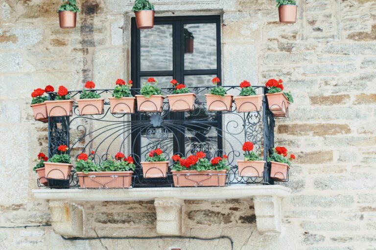Balcony container garden