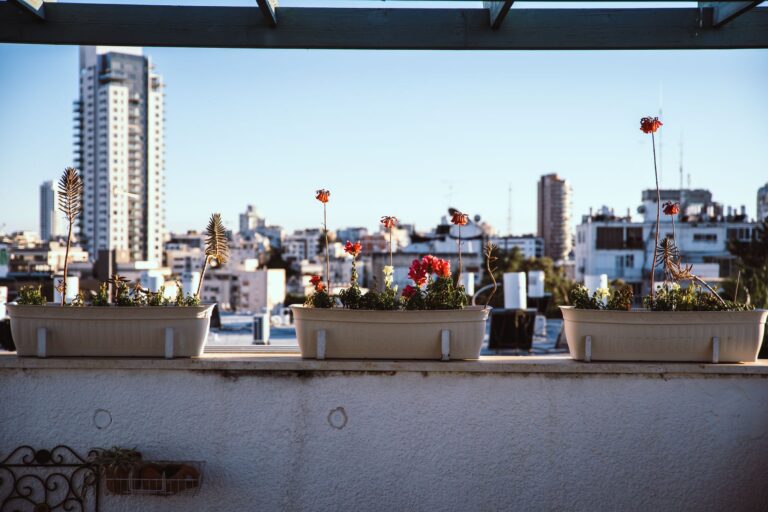 Container garden pots