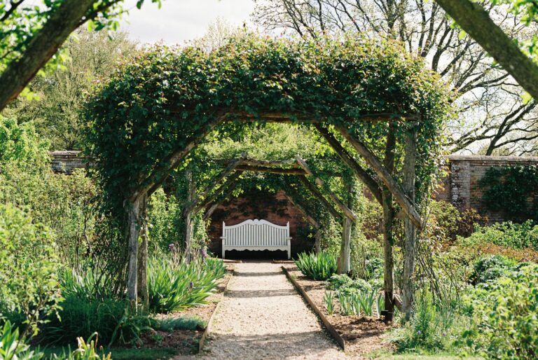 Garden arch climbing