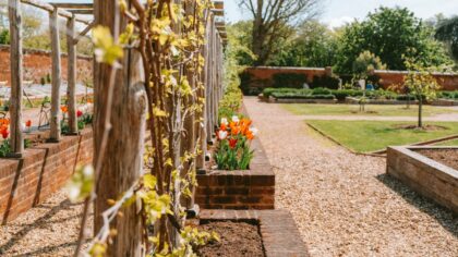 Climbing arches that turn simple paths into romantic garden journeys