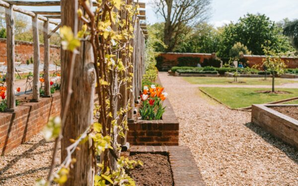 Climbing arches that turn simple paths into romantic garden journeys