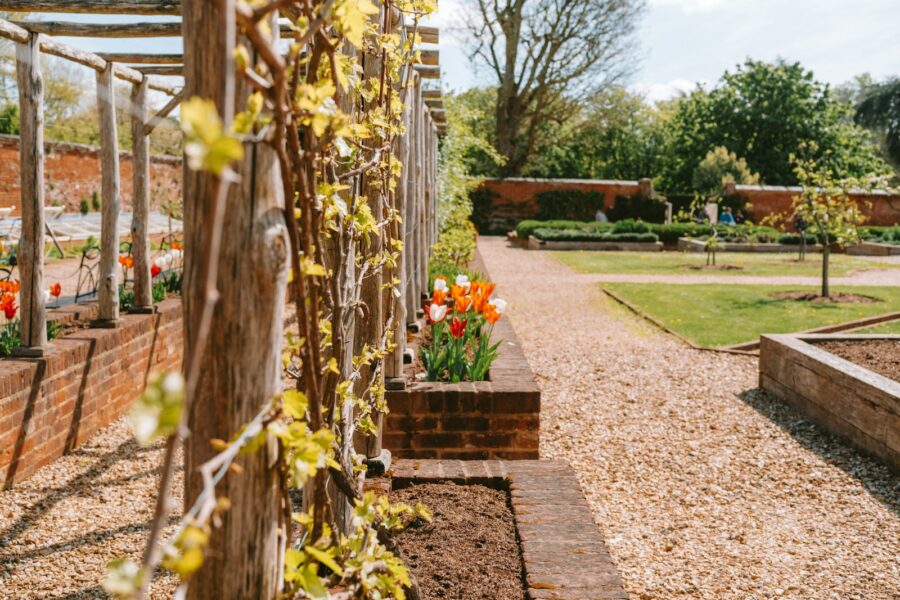 Garden arch climbing