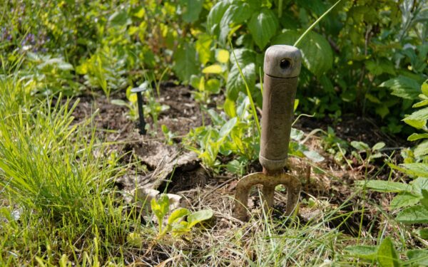 Compacted soil in home beds: how to loosen tight ground and bring back healthy growth
