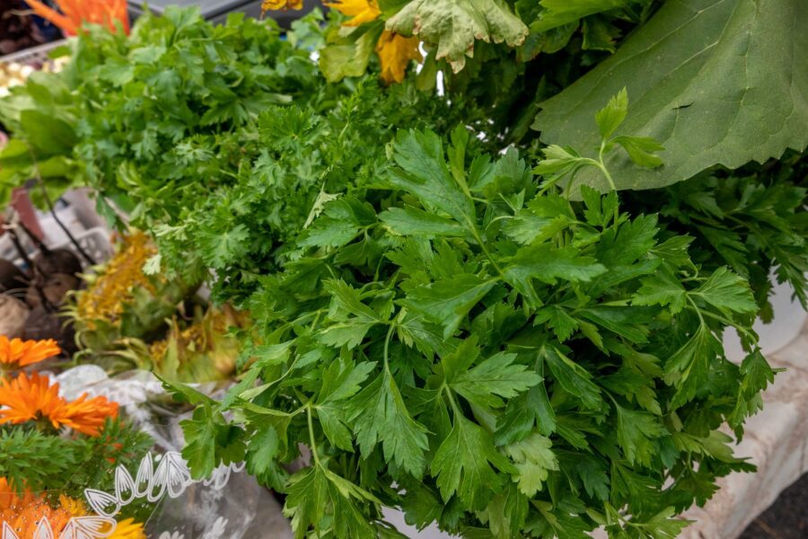 Mixed vegetable bed