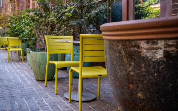 Container garden ideas that turn a plain patio into a green room