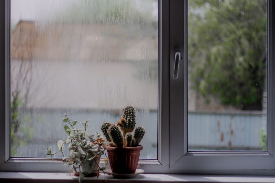 Indoor plants humidity