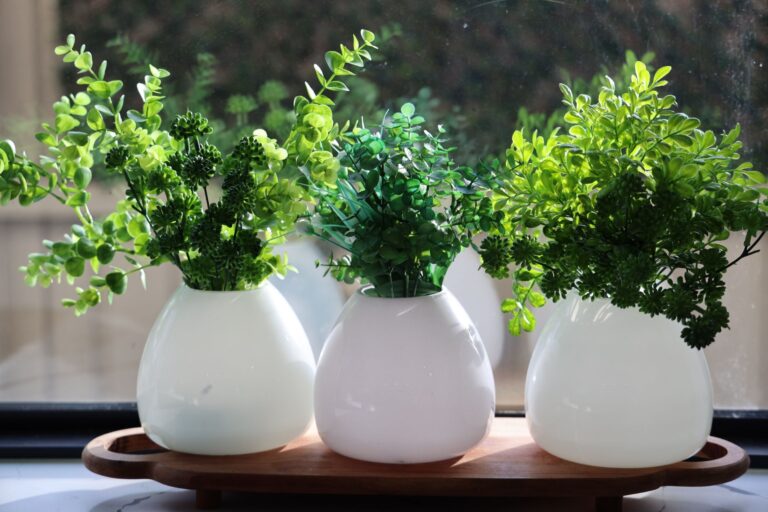 Indoor plants humidity