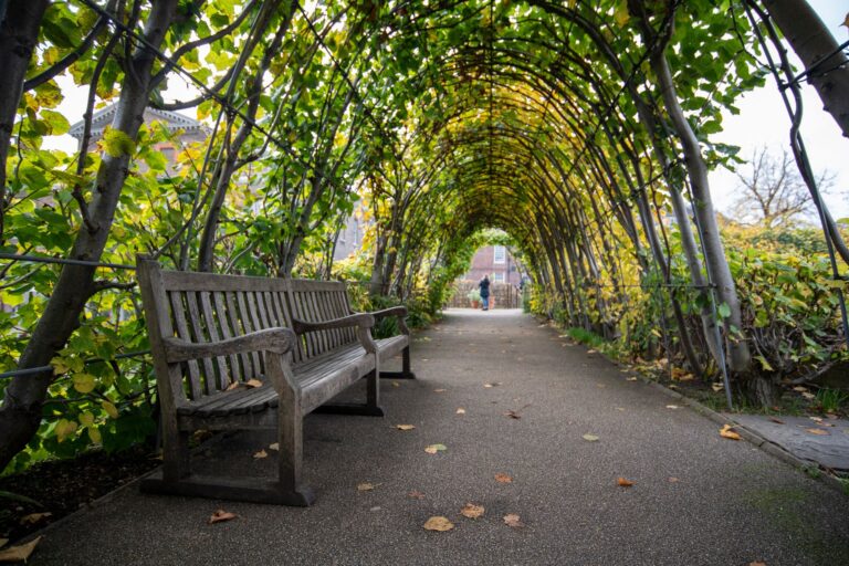 Metal garden arch