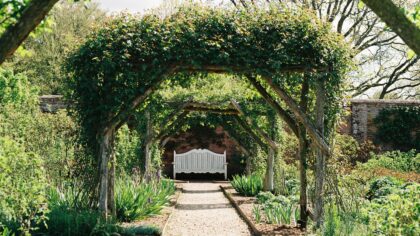Creating an archway garden with climbing plants that transform your outdoor space