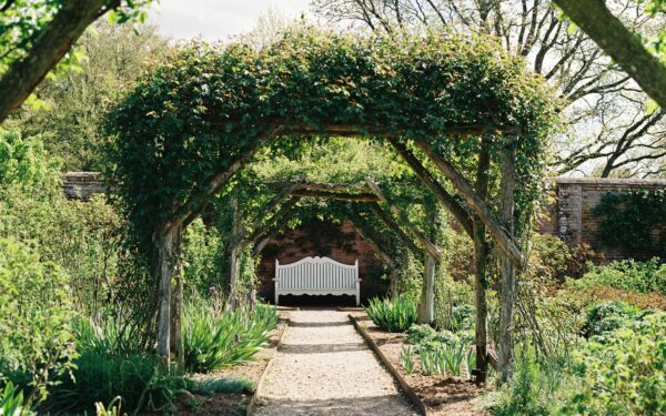 Creating an archway garden with climbing plants that transform your outdoor space