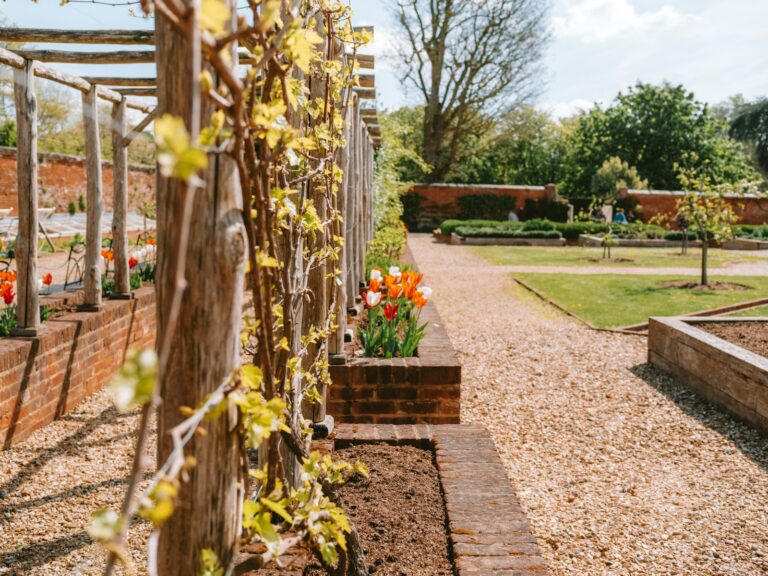 Garden arch climbing