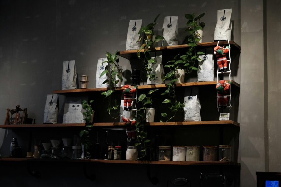 Indoor fern corner