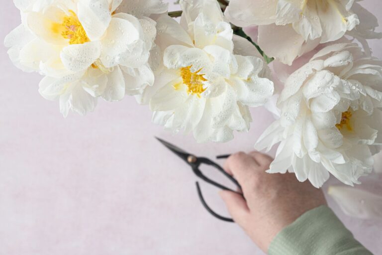 Hand deadheading flowers