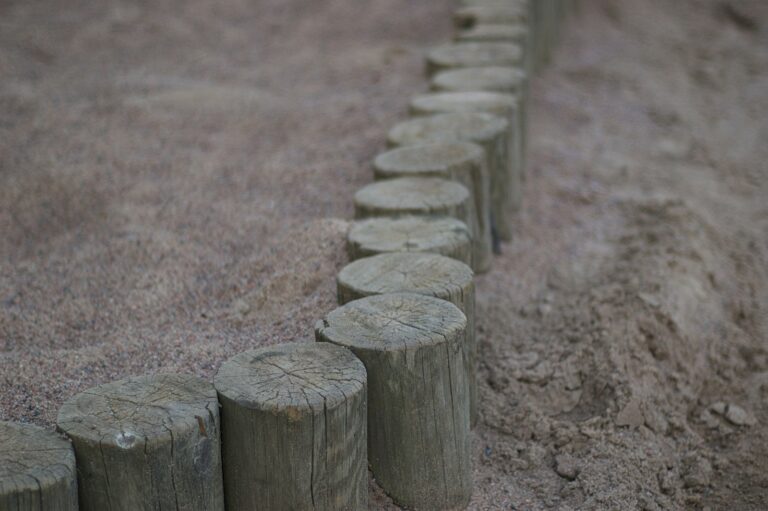 Family garden path