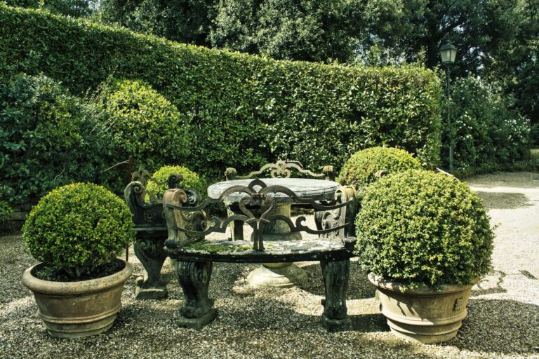 Courtyard garden paving
