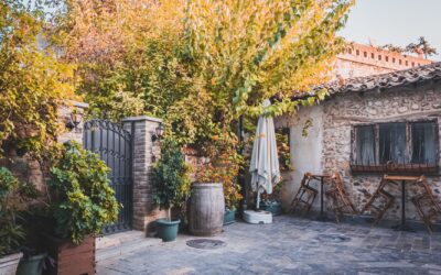 Designing a courtyard garden that feels calm, green and beautifully lived‑in