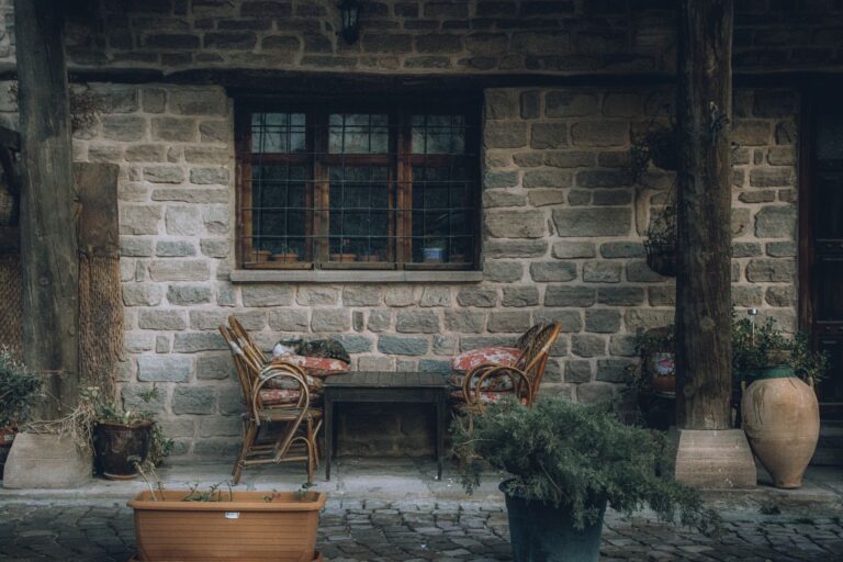 Potted plants against