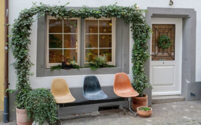 Designing a welcoming courtyard garden that feels calm and cohesive