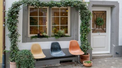 Designing a welcoming courtyard garden that feels calm and cohesive