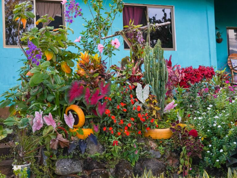 Front garden entrance