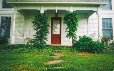 Designing a welcoming front garden that feels like a green invitation home