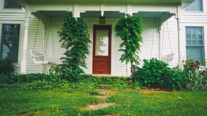 Designing a welcoming front garden that feels like a green invitation home