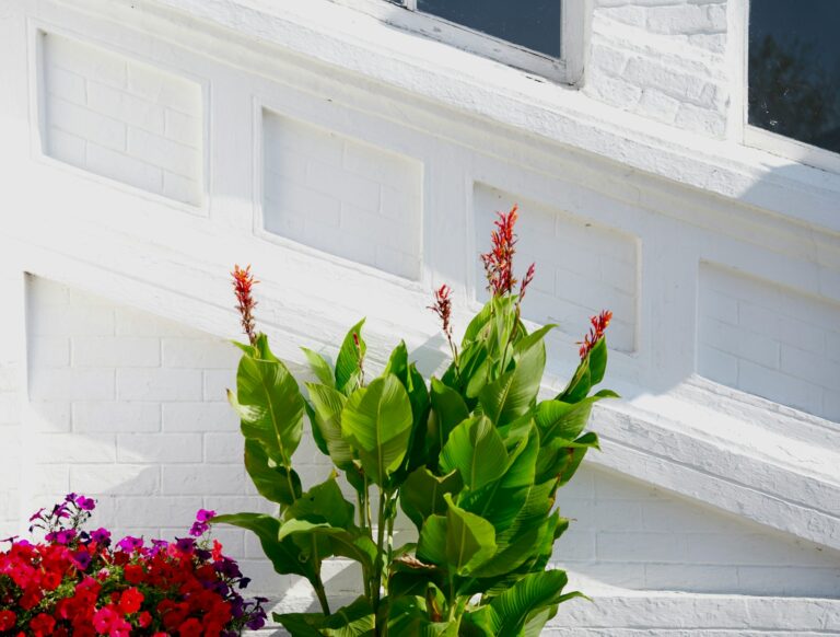Front door planting