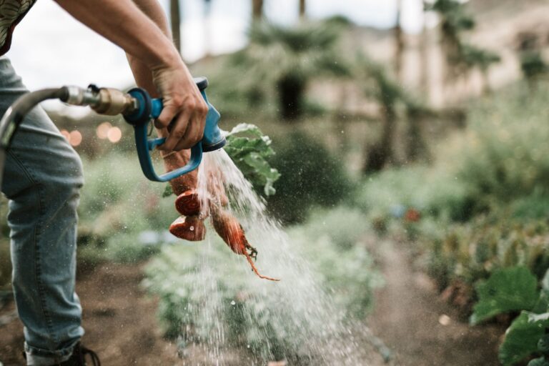 Hand checking soil