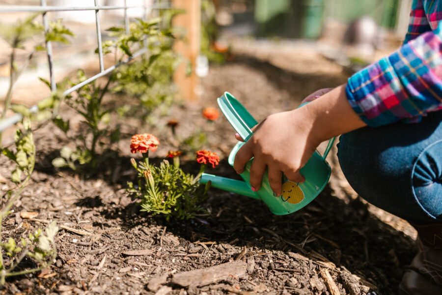 Watering can soil