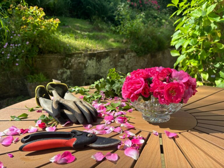 Hand tools trowel