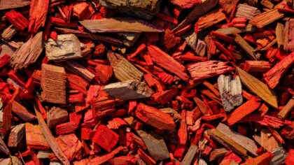 Everyday garden care habits that keep beds thriving through the season