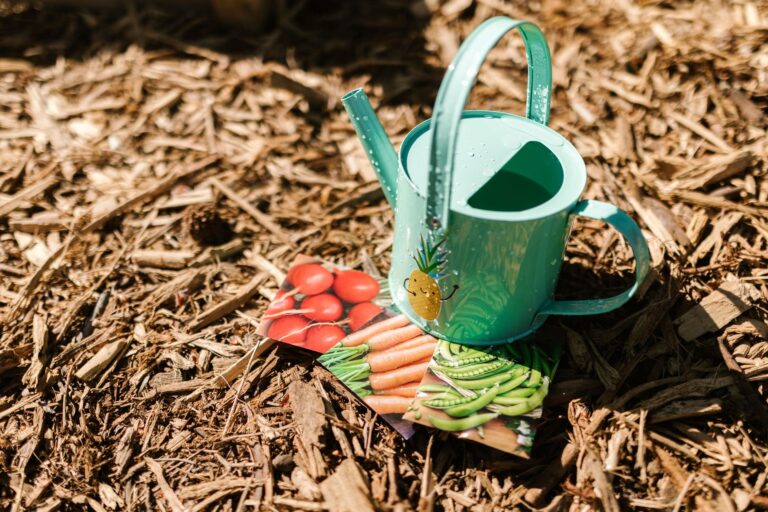 Home vegetable garden
