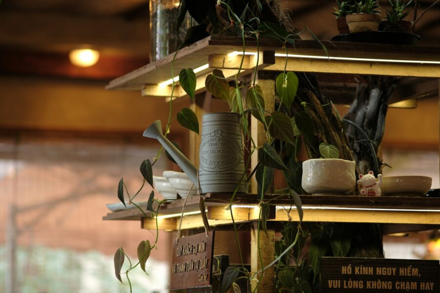 Indoor plant shelf