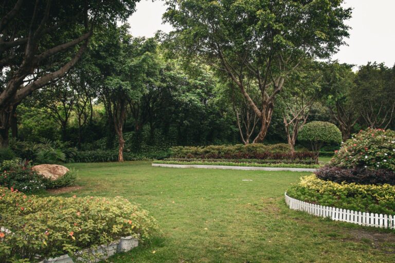 Fence border garden